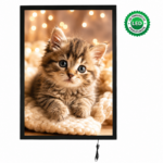 Magneco Ledbox Tek Taraflı Işıklı Çerçeve B2 - Görsel 2